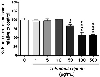 PMC13157267 – cbdv71142-fig-0002