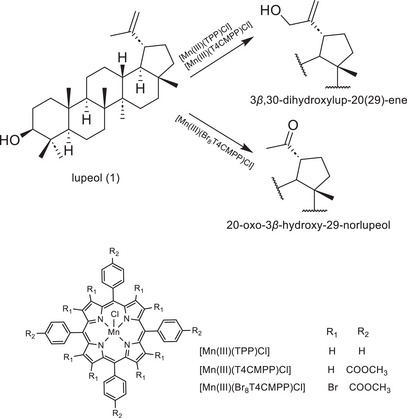 PMC13138786 – cbdv71239-fig-0007
