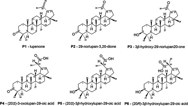 PMC13138786 – cbdv71239-fig-0003