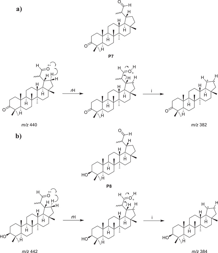 PMC13138786 – cbdv71239-fig-0008