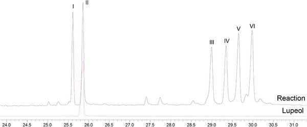 PMC13138786 – cbdv71239-fig-0001