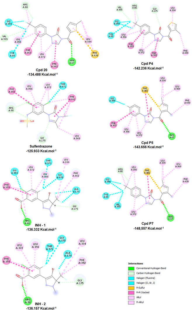 PMC13133543 – cbdv71268-fig-0006