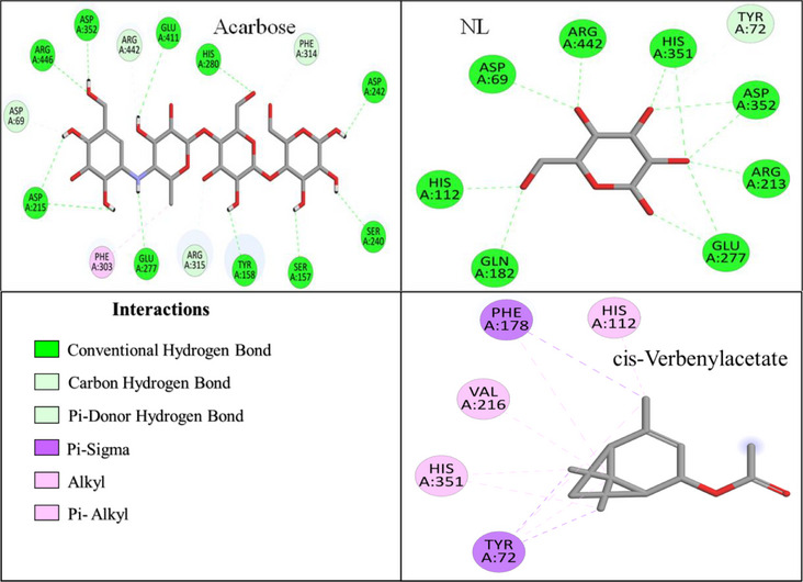 PMC13138695 – cbdv71277-fig-0006