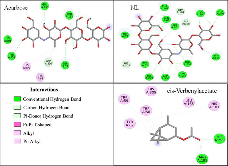 PMC13138695 – cbdv71277-fig-0005