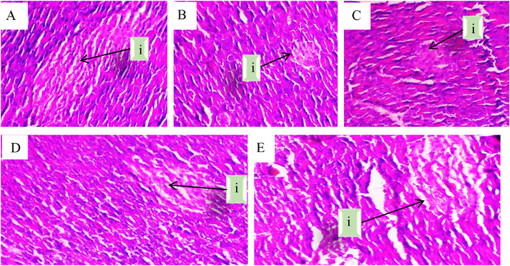 PMC13138695 – cbdv71277-fig-0001