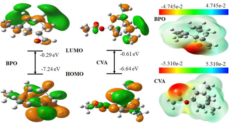 PMC13138695 – cbdv71277-fig-0009