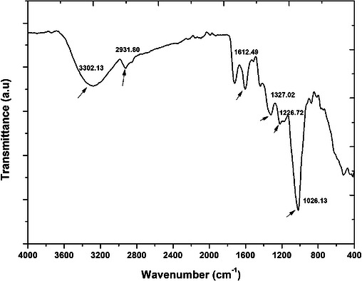 PMC13168843 – cbdv71335-fig-0001