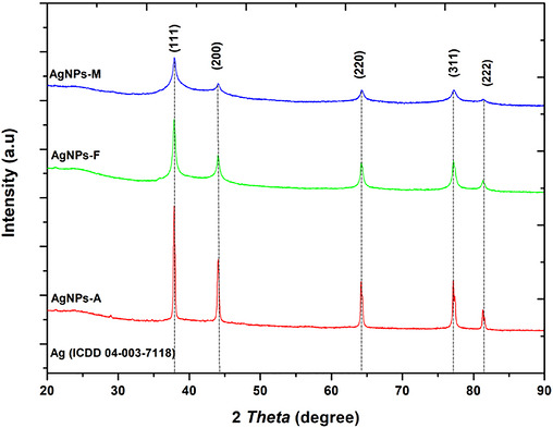 PMC13168843 – cbdv71335-fig-0003
