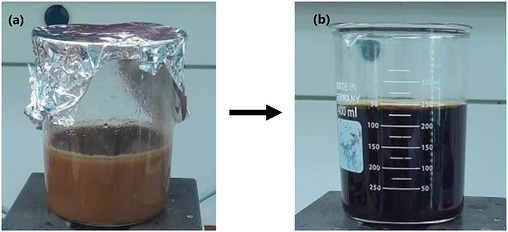 PMC13168843 – cbdv71335-fig-0002