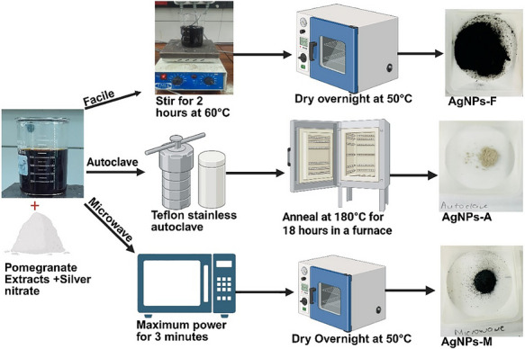 PMC13168843 – cbdv71335-fig-0008