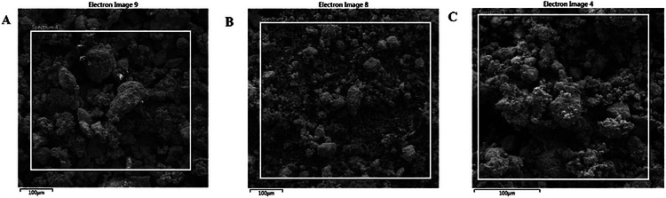 PMC13168843 – cbdv71335-fig-0004