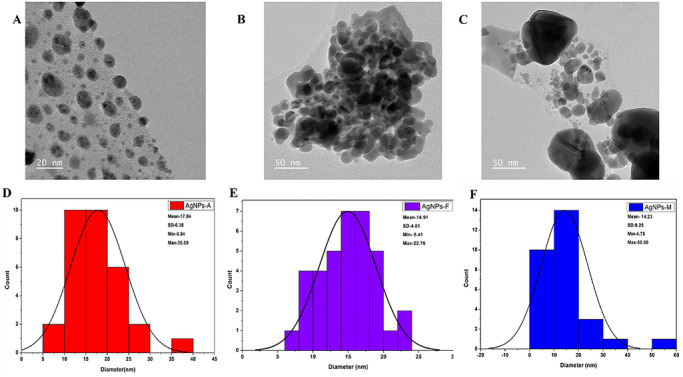 PMC13168843 – cbdv71335-fig-0005
