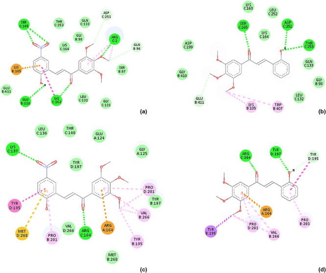 PMC13172435 – cbdv71336-fig-0004