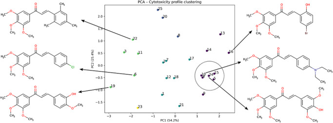 PMC13172435 – cbdv71336-fig-0002