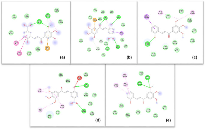 PMC13172435 – cbdv71336-fig-0003