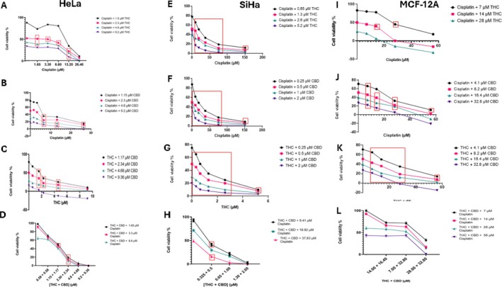PMC13128291 – cnr270561-fig-0001