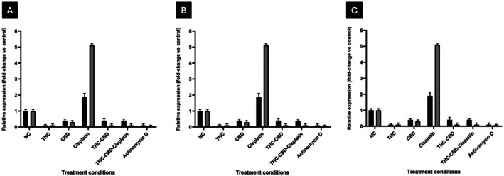 PMC13128291 – cnr270561-fig-0007
