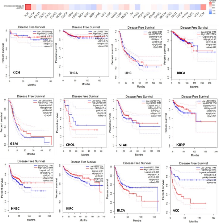 PMC13171463 – cnr270572-fig-0004