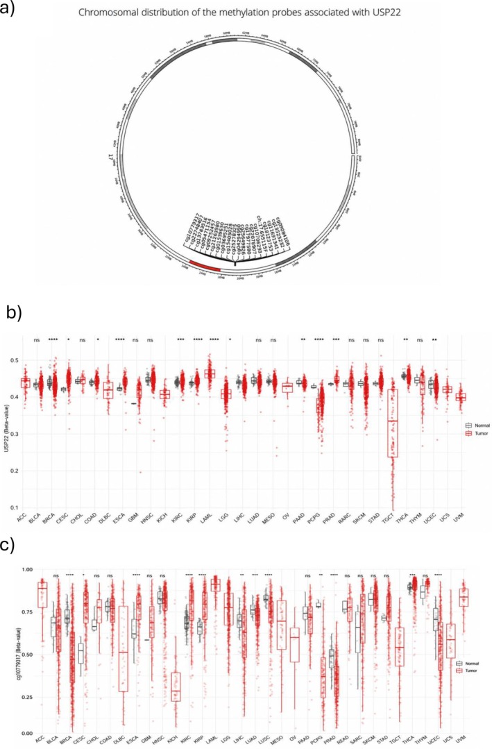 PMC13171463 – cnr270572-fig-0009