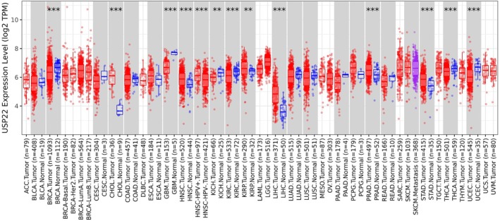 PMC13171463 – cnr270572-fig-0001