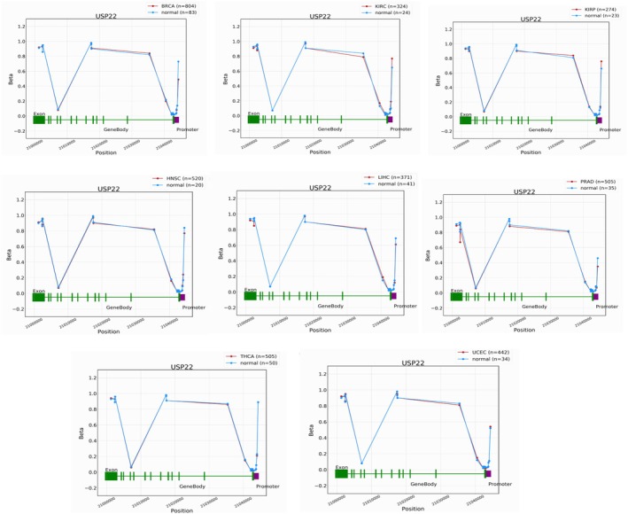 PMC13171463 – cnr270572-fig-0008