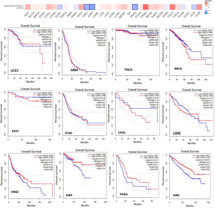 PMC13171463 – cnr270572-fig-0003