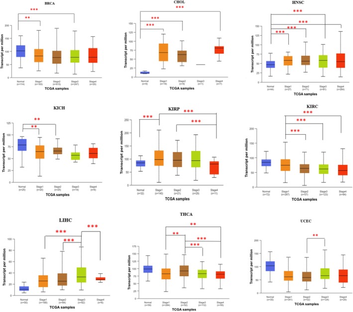 PMC13171463 – cnr270572-fig-0002