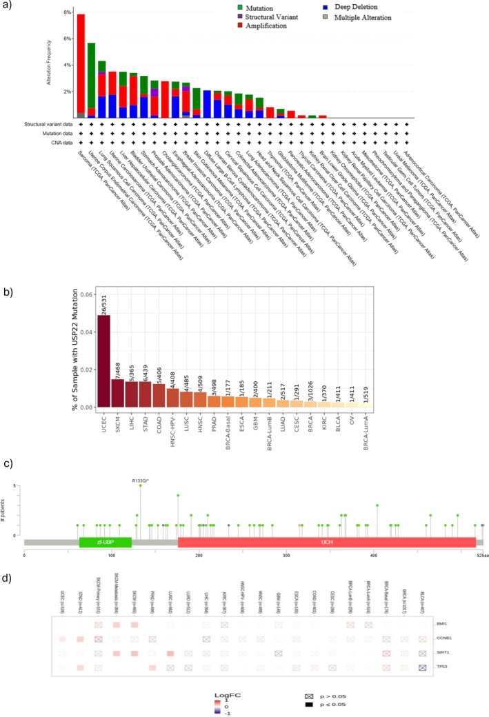 PMC13171463 – cnr270572-fig-0006