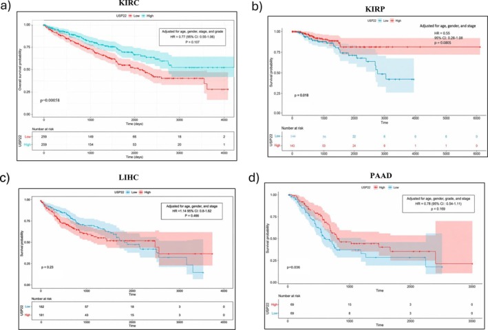 PMC13171463 – cnr270572-fig-0005