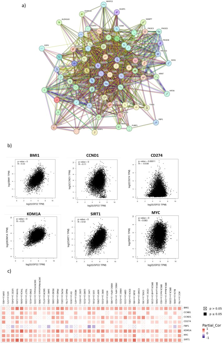 PMC13171463 – cnr270572-fig-0010