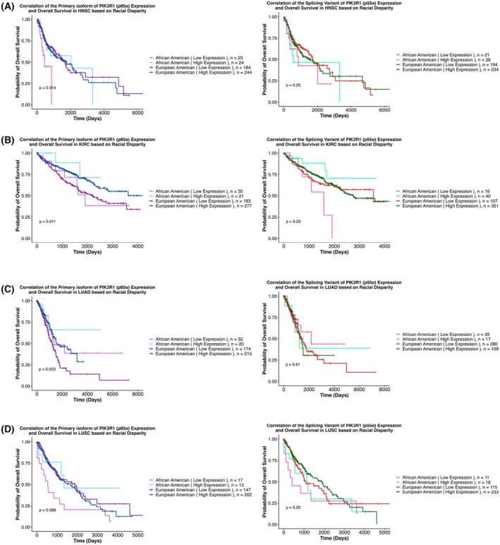 PMC13155144 – mol270205-fig-0004
