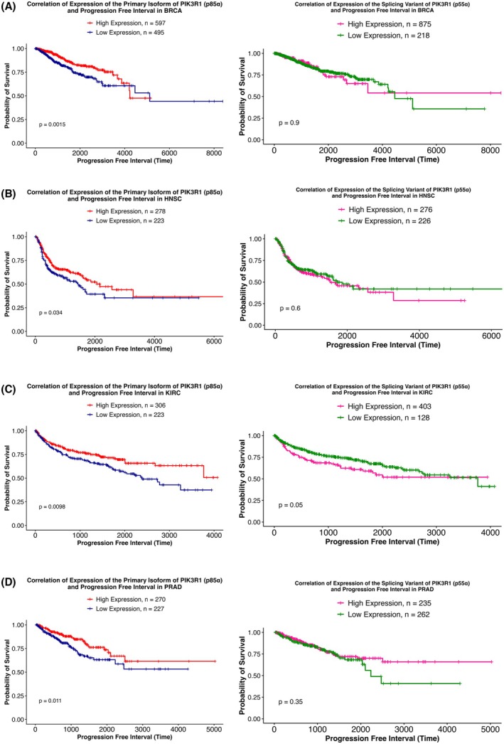 PMC13155144 – mol270205-fig-0006