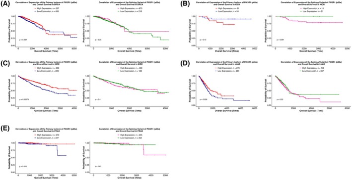 PMC13155144 – mol270205-fig-0003
