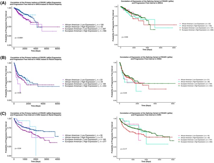 PMC13155144 – mol270205-fig-0007