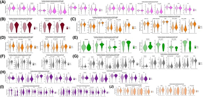 PMC13155144 – mol270205-fig-0009