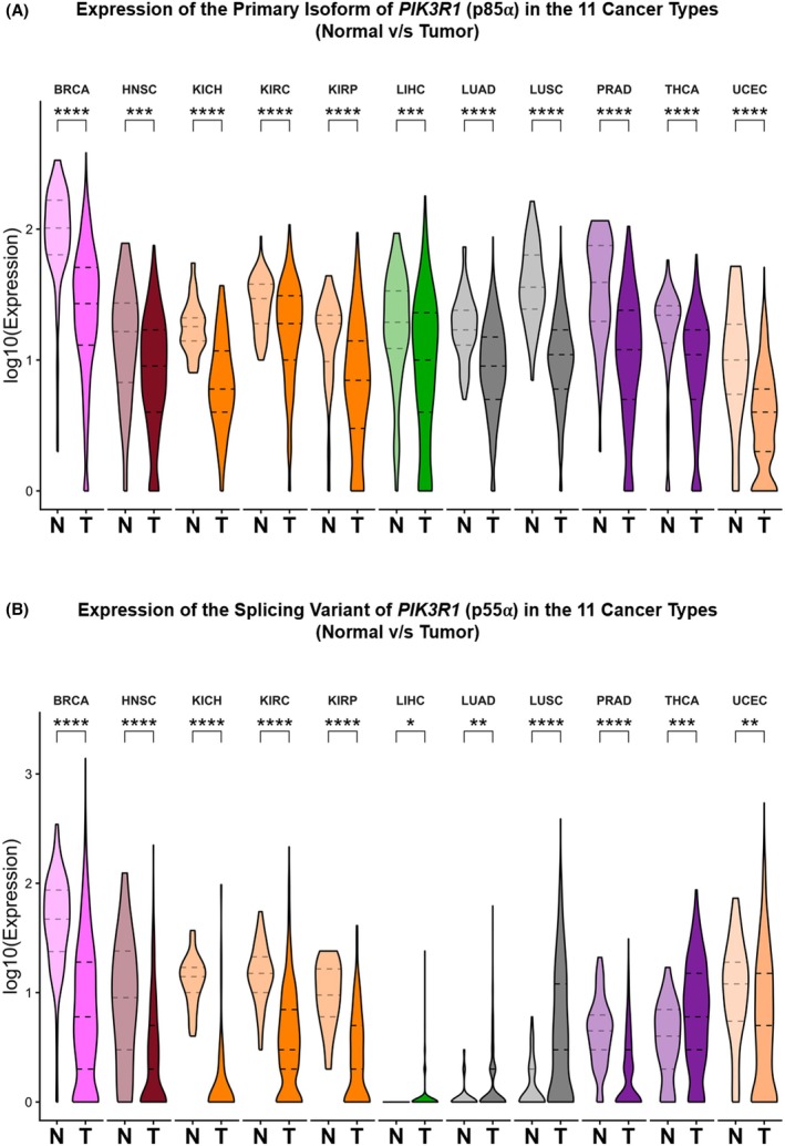PMC13155144 – mol270205-fig-0001