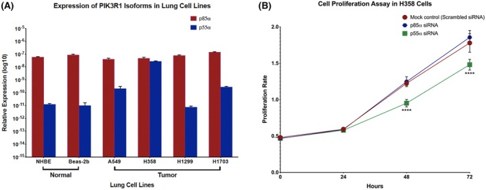 PMC13155144 – mol270205-fig-0008