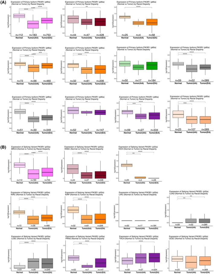 PMC13155144 – mol270205-fig-0002