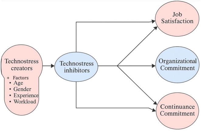 PMC13140389 – nop270458-fig-0002