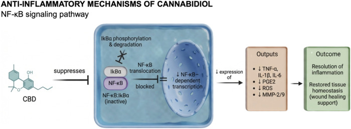 PMC13129851 – fig5