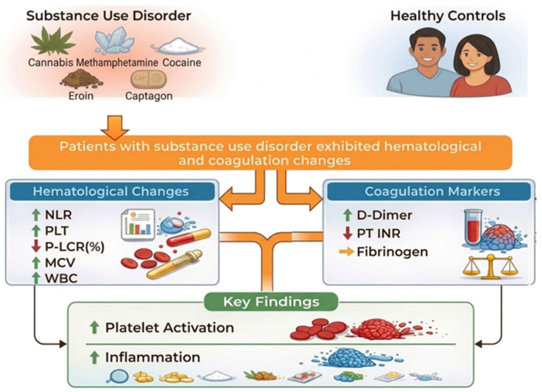 PMC13203785 – biomedicines-14-01000-f001