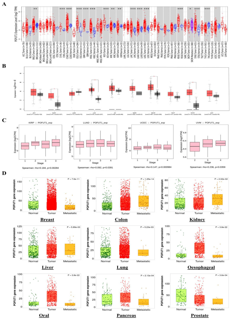 PMC13163059 – cancers-18-01342-f001