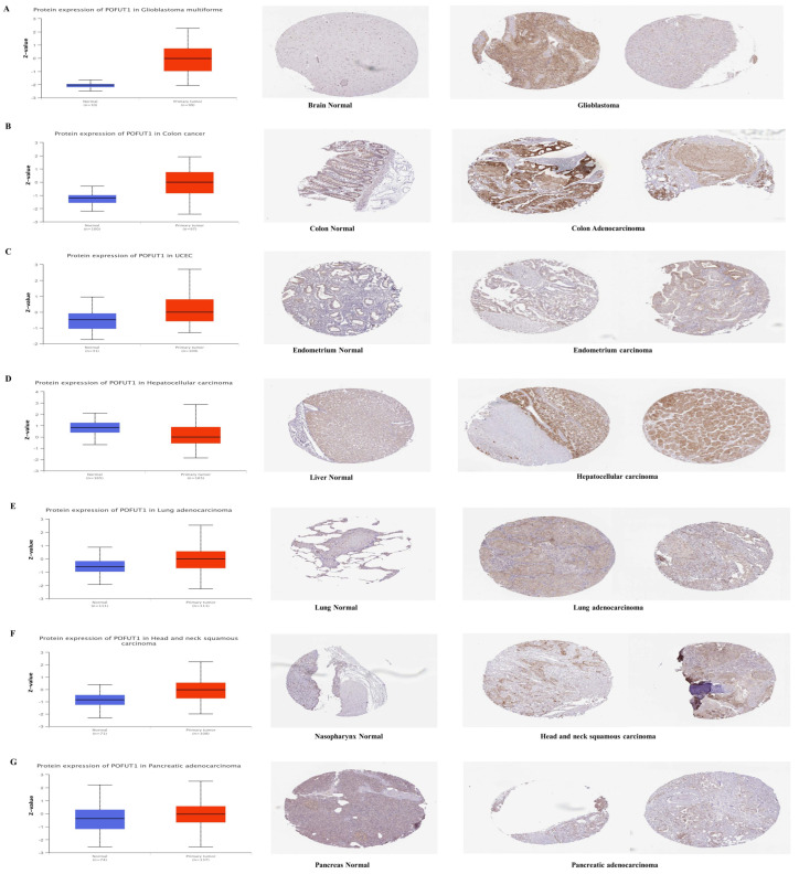 PMC13163059 – cancers-18-01342-f002
