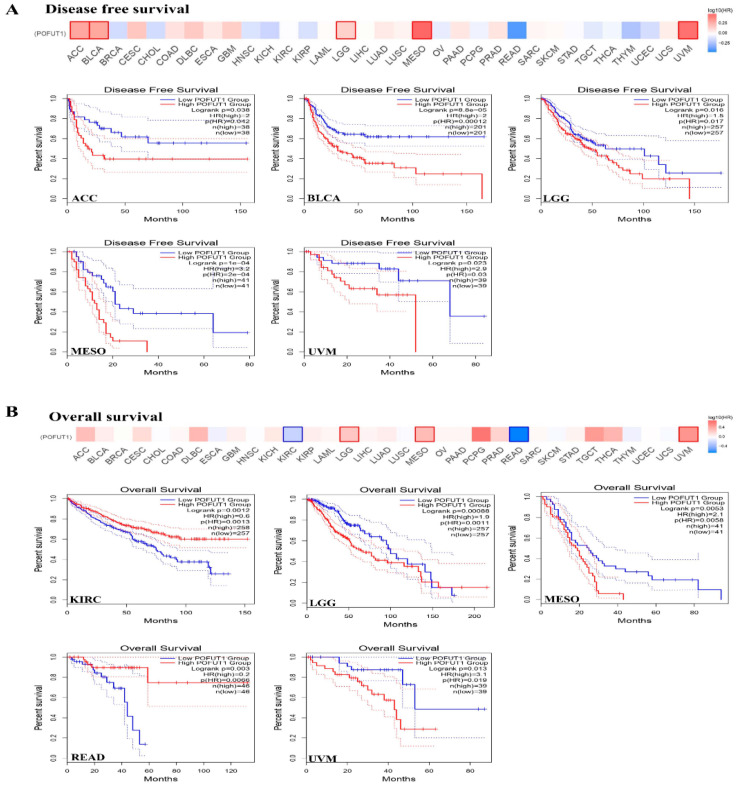 PMC13163059 – cancers-18-01342-f003