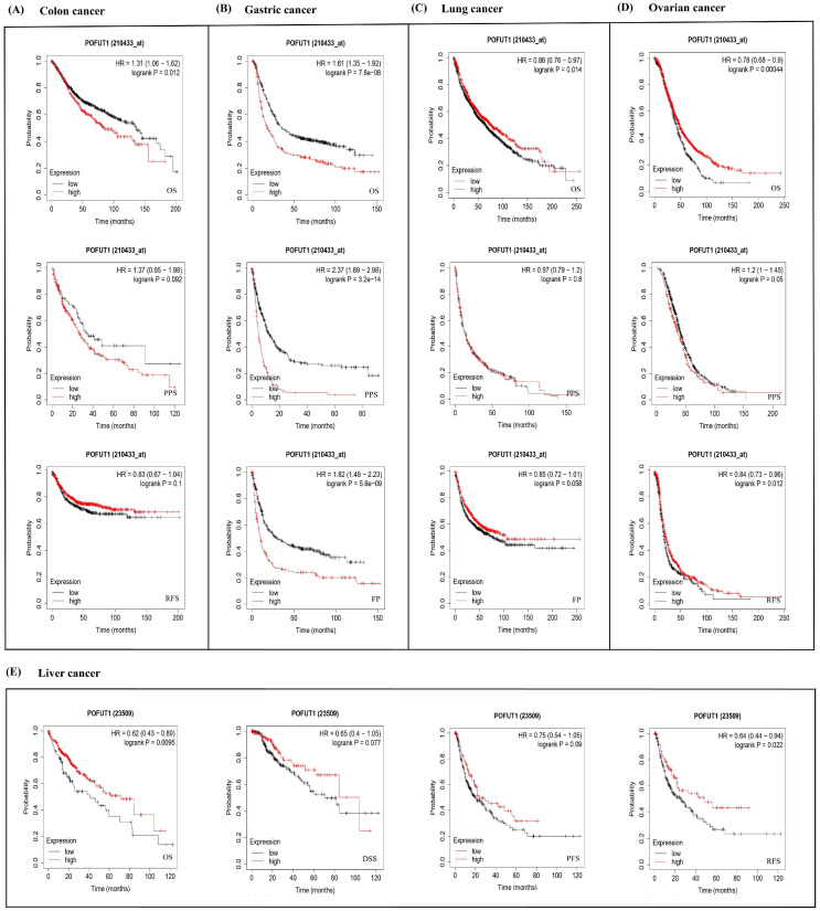 PMC13163059 – cancers-18-01342-f004
