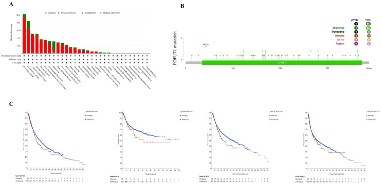 PMC13163059 – cancers-18-01342-f005