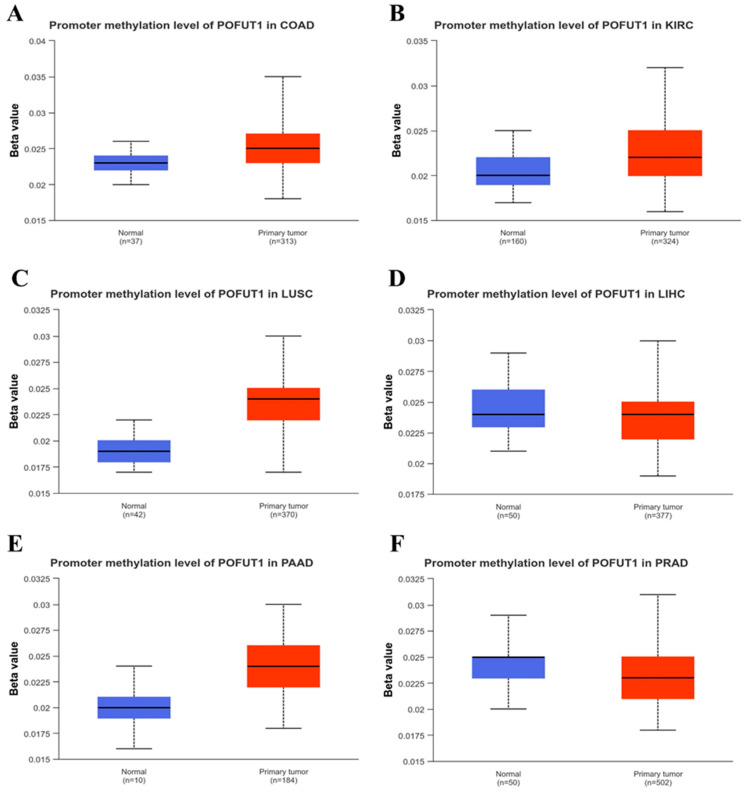 PMC13163059 – cancers-18-01342-f006