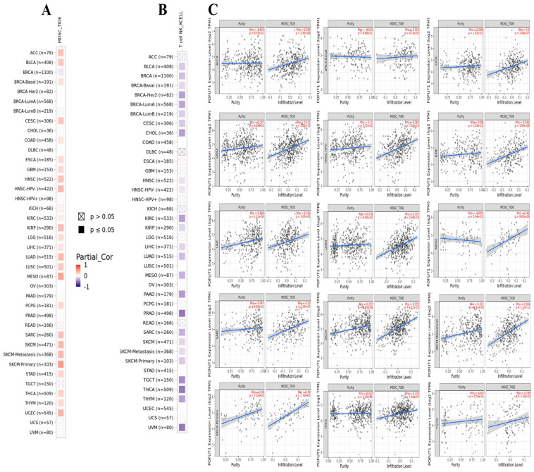 PMC13163059 – cancers-18-01342-f007