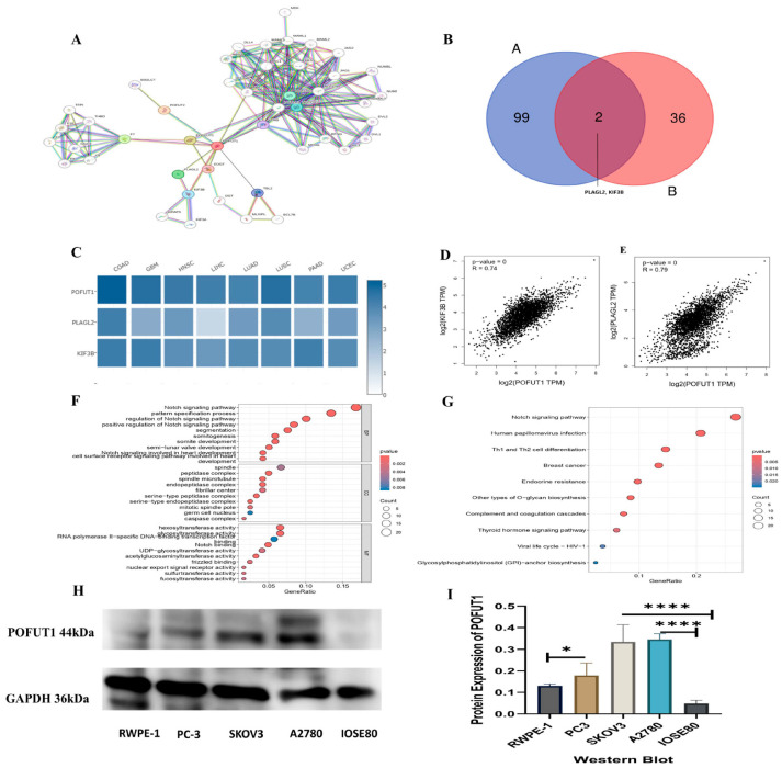 PMC13163059 – cancers-18-01342-f009
