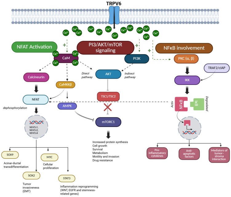 PMC13204292 – cancers-18-01670-f002